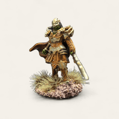 Dragonborn Fighter Female